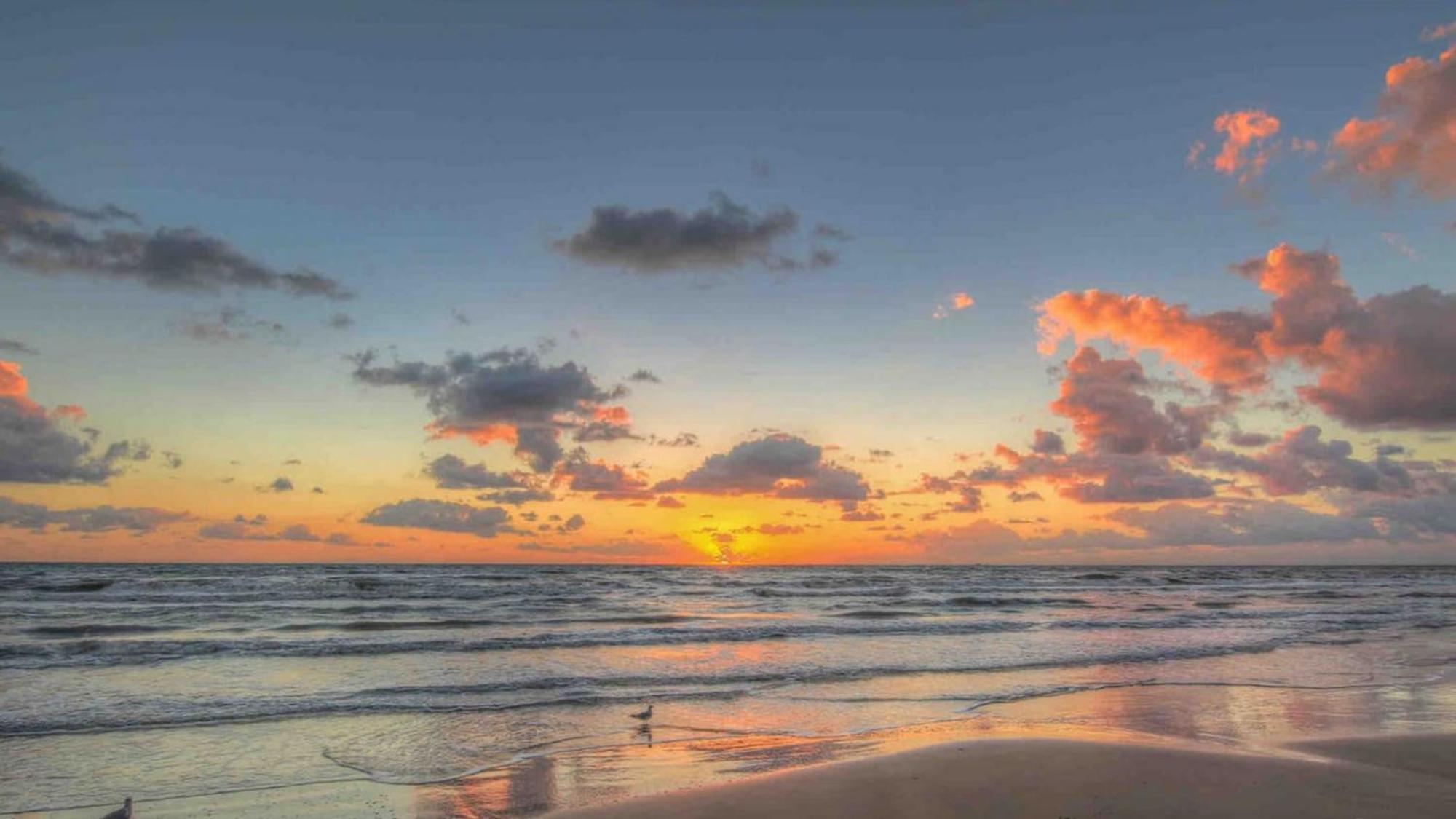 Sleeps 4, Value Retreat - Free Garage Pet Friendly Apartment Corpus Christi Exterior photo